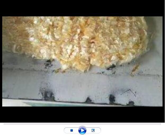 點(diǎn)擊查看詳細(xì)信息<br>標(biāo)題：聚丙烯腈纖維生產(chǎn)中【視頻】 閱讀次數(shù)：2768