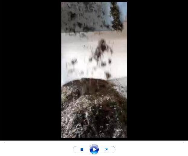 點(diǎn)擊查看詳細(xì)信息<br>標(biāo)題：玄武巖纖維生產(chǎn)中【視頻】 閱讀次數(shù)：2690